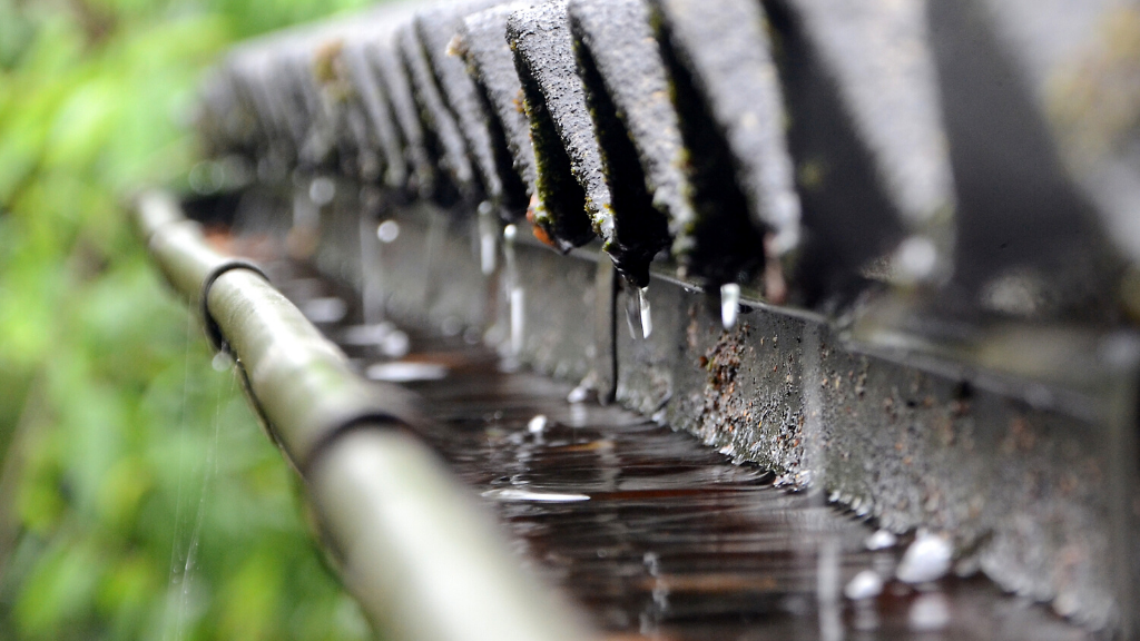 How to spot water drainage problems within your home