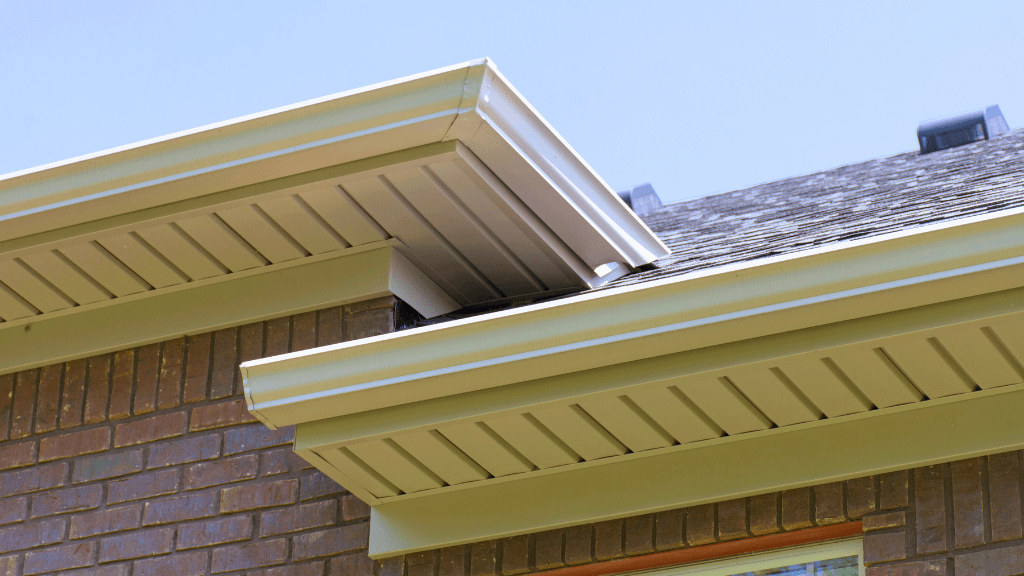 What’s living in your attic? 